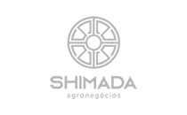 shimada